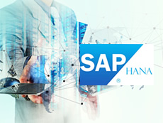 SAP on HANA Migration Service