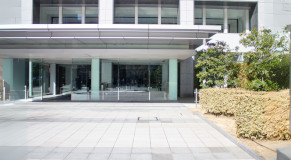 先輩社員記事
